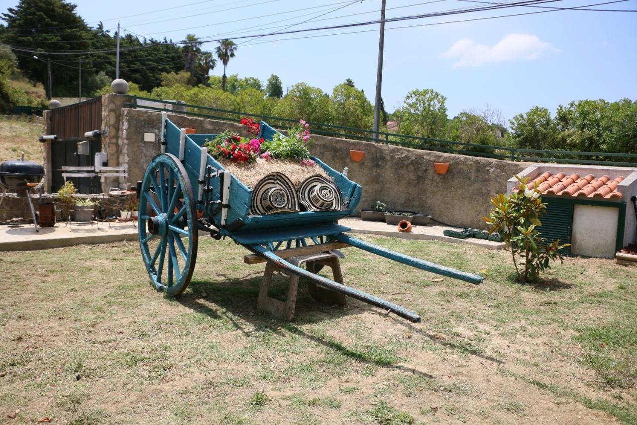 Quinta Da Chapeleira Em Azeitao Villa Exterior photo