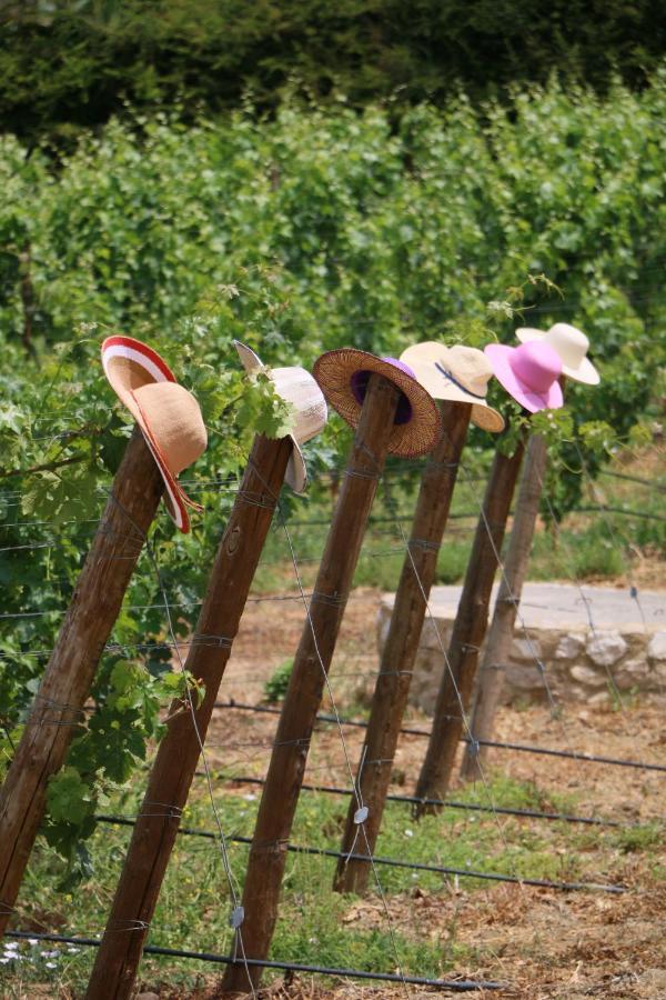 Quinta Da Chapeleira Em Azeitao Villa Exterior photo